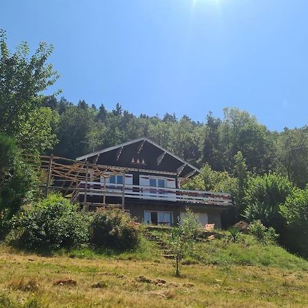 Le Chalet Des Amis Aurec-Sur-Loire Bagian luar foto